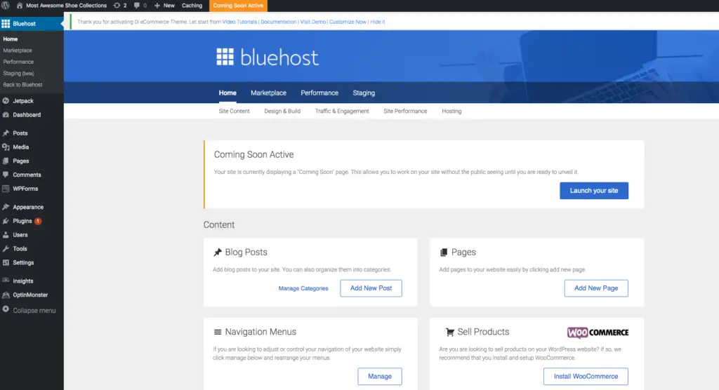 Start a blog. bluehost. WordPress tools