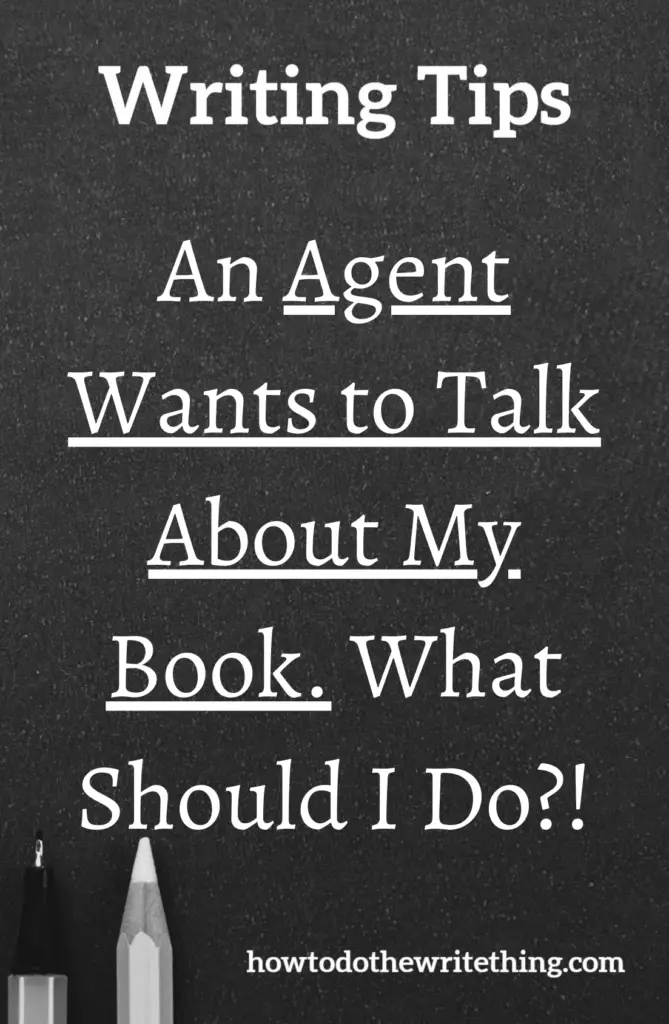 An Agent Wants to Talk About My Book. What Should I Do?!